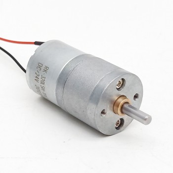 2 Pièces Φ25mm 6V/12V motoréducteur CC brushed moteur PMDC GM25-320SH avec rapport 4~499 réducteurs arbre parallèle