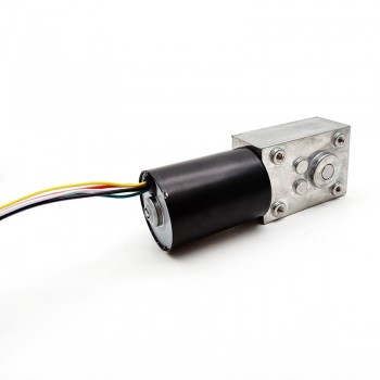 2 Pièces 12V/24V Motoréducteur CC brushed 7W/10.9W arbre 6mm avec rappor 81~621 réducteur à vis sans fin