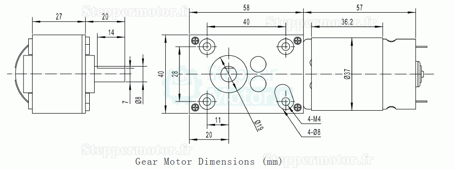 2 Pièces 12V/24V Motoréducteur CC brushed 8,8W arbre 8mm avec réducteur à vis sans fin à arbre de sortie à 90 degrés