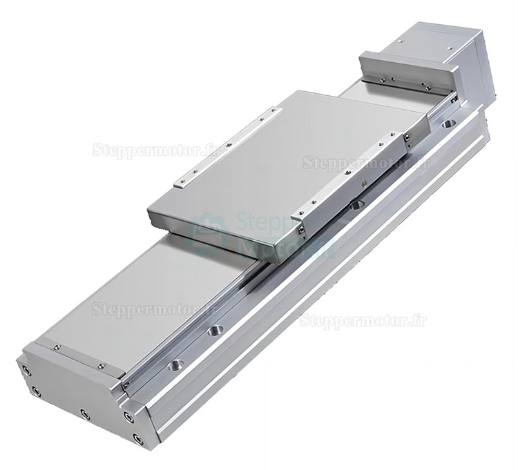 Module linéaire à double rail actionneur linéaire FCH140 50-1250mm avec servomoteur 400 W