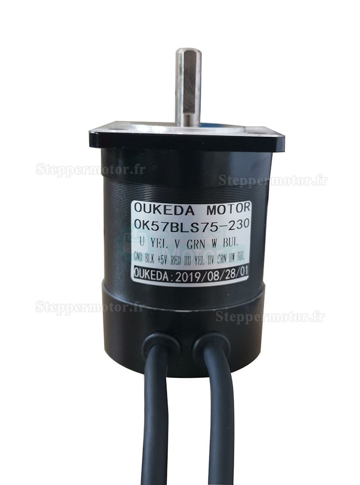 24V Moteur CC sans balais nema 23 OK57BLS75-230 2 phases 22 Ncm 3000 tr/min