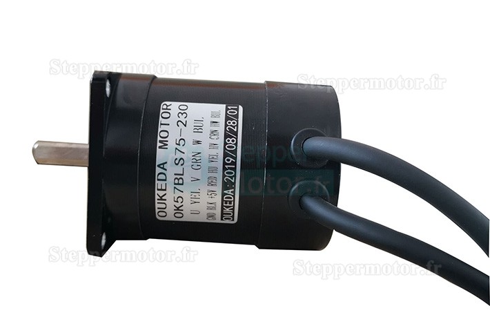 24V Moteur CC sans balais nema 23 OK57BLS75-230 2 phases 22 Ncm 3000 tr/min