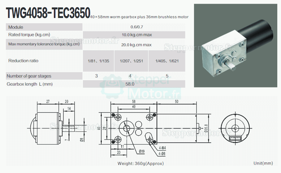 2 Pièces 12V/24V Motoréducteur CC brushed 7W/10.9W arbre 6mm avec rappor 81~621 réducteur à vis sans fin